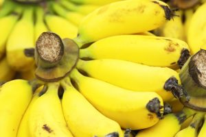 Banane lekovita svojstva